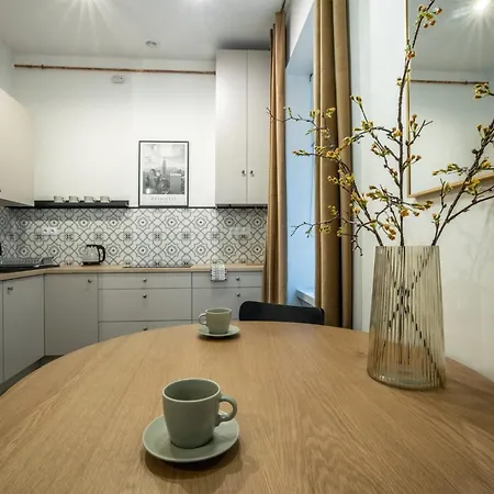 公寓 Apartament Gold Prochnika 9 罗兹